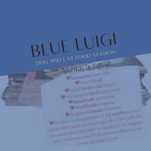 Load image into Gallery viewer, Blue Luigi