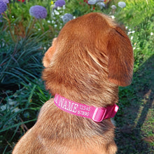 Load image into Gallery viewer, Custom Embroidered Dog Collar