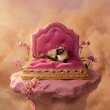 Load image into Gallery viewer, Exquisite luxury pet bed for dogs and cats featuring orthopedic comfort, handmade in Europe with baroque designer details, glamorous high-end customizable pet furniture by Aposentis. €1190.00