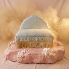 Load image into Gallery viewer, Exquisite luxury pet bed for dogs and cats featuring orthopedic comfort, handmade in Europe with baroque designer details, glamorous high-end customizable pet furniture by Aposentis. €770.00