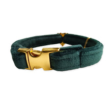 Load image into Gallery viewer, Velvet Collar