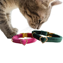 Load image into Gallery viewer, Velvet Collar