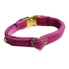 Load image into Gallery viewer, Velvet Collar