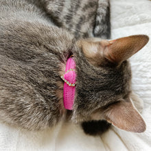 Load image into Gallery viewer, Velvet Collar