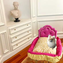 Load image into Gallery viewer, Carlotta Louiza