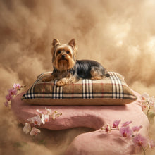 Load image into Gallery viewer, Exquisite luxury pet bed for dogs and cats featuring orthopedic comfort, handmade in Europe with baroque designer details, glamorous high-end customizable pet furniture by Aposentis. €90.00