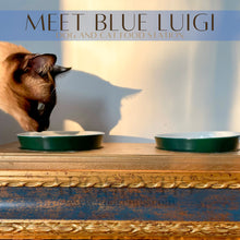 Load image into Gallery viewer, Blue Luigi