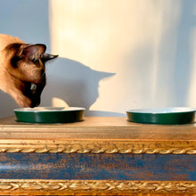 Load image into Gallery viewer, Blue Luigi