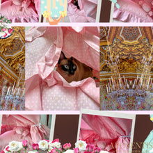 Load image into Gallery viewer, Exquisite luxury pet bed for dogs and cats featuring orthopedic comfort, handmade in Europe with baroque designer details, glamorous high-end customizable pet furniture by Aposentis. €390.00