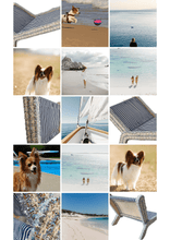 Load image into Gallery viewer, Exquisite luxury pet bed for dogs and cats featuring orthopedic comfort, handmade in Europe with baroque designer details, glamorous high-end customizable pet furniture by Aposentis. €125.00