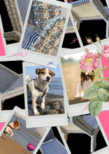 Load image into Gallery viewer, Como Sun Lounger