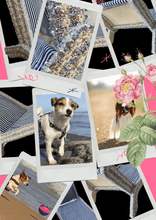 Load image into Gallery viewer, Exquisite luxury pet bed for dogs and cats featuring orthopedic comfort, handmade in Europe with baroque designer details, glamorous high-end customizable pet furniture by Aposentis. €125.00