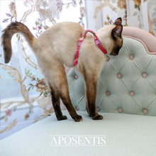 Load image into Gallery viewer, Aposentis luxury dogs cats pets beds exclusive fancy premium gold golden bed sofa couch expensive fashion fancy designer premium queen king million diamond