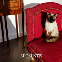 Load image into Gallery viewer, Exquisite luxury pet bed for dogs and cats featuring orthopedic comfort, handmade in Europe with baroque designer details, glamorous high-end customizable pet furniture by Aposentis. €850.00
