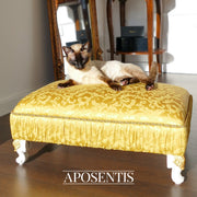 Aposentis luxury dogs cats pets beds exclusive fancy premium gold golden bed sofa couch expensive fashion fancy designer premium queen king million diamond