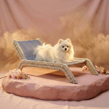Load image into Gallery viewer, Exquisite luxury pet bed for dogs and cats featuring orthopedic comfort, handmade in Europe with baroque designer details, glamorous high-end customizable pet furniture by Aposentis. €125.00
