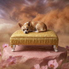 Load image into Gallery viewer, Exquisite luxury pet bed for dogs and cats featuring orthopedic comfort, handmade in Europe with baroque designer details, glamorous high-end customizable pet furniture by Aposentis. €300.00
