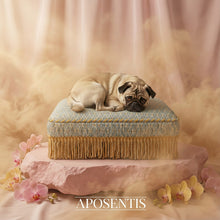 Load image into Gallery viewer, Exquisite luxury pet bed for dogs and cats featuring orthopedic comfort, handmade in Europe with baroque designer details, glamorous high-end customizable pet furniture by Aposentis. €410.00
