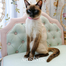 Load image into Gallery viewer, Aposentis luxury dogs cats pets beds exclusive fancy premium gold golden bed sofa couch expensive fashion fancy designer premium queen king million diamond
