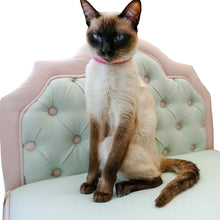 Load image into Gallery viewer, Jackelyn
